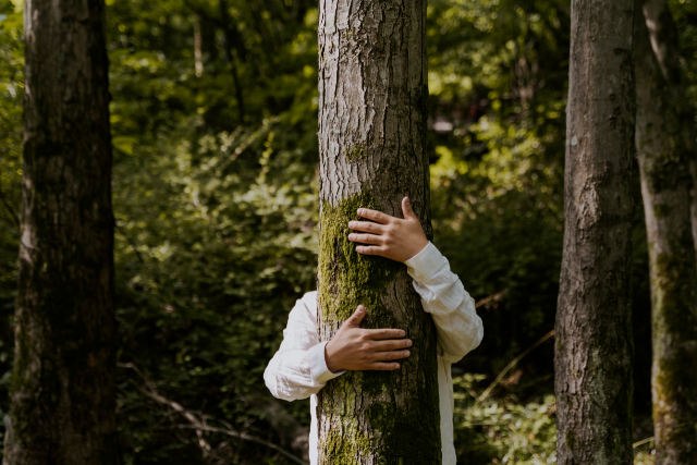 Afraid of Your Sensitivity? You’re Not Alone.