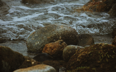The Ebb and Flow of Spiritual Belief
